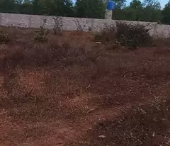 CHO THUÊ ĐẤT 4.000M² VỊ TRÍ ĐẸP TẠI TIẾN THÀNH – PHAN THIẾT