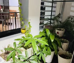 Bán nhà đường số 9, Phường Trường Thọ, Thủ Đức, TP HCM. DT 60m2, 2 lầu. Giá 4.5 tỷ, Sổ hồng