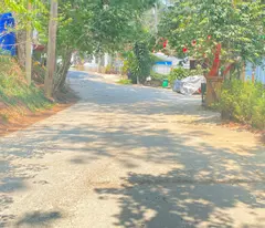 Đất đường nhánh 1.832m2  hẻm lớn trần quang diệu, phường 10, đà lạt