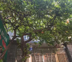 Bán MTKD HXH  Tạ Quang Bửu Quận 8 – View công viên, khu VIP-0948769331
