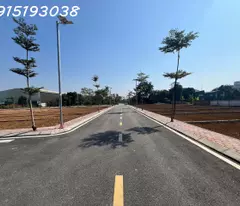 TÔI CHÍNH CHỦ CẦN TIỀN BÁN CẮT LỖ LÔ ĐẤT VÀNG Ở PHÚ CÁT - SÁT VÁCH TỈNH LỘ 446 - QUỐC LỘ 21