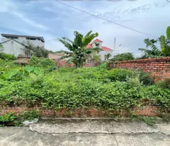 Cần Tiền Bán mảnh đất gần Đại Lộ Thăng Long mua lâu rồi nay bán nhanh giá 3 tỷ, gần QH Vin 300ha
