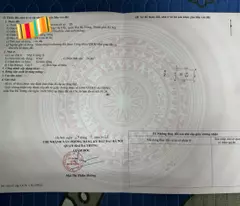 CHÍNH CHỦ BÁN GẤP NHÀ ĐẸP BẠCH MAI – NGÕ THOÁNG, CÓ SÂN ĐỂ XE, GIÁ CHỈ 4.8 TỶ – HIẾM TẠI HAI BÀ