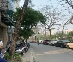 CẦU GIẤY – LÔ ĐẤT 230M² MẶT TIỀN 15M – HÀNG HIẾM “KHÔNG CÓ LẦN 2” – GIÁ CHẠM ĐÁY KHU VỰC