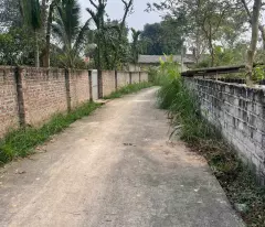 BÁN ĐẤT VƯỜN GIÁ RẺ – TIỀM NĂNG ĐẦU TƯ CAO TẠI TAM DƯƠNG
