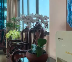 SIÊU PHẨM 9 TẦNG THANG MÁY – MẶT PHỐ HẢI LỘC, HẠ LONG – KINH DOANH ĐỈNH, ĐẦU TƯ SINH LỜI CAO
