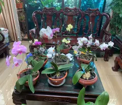 SIÊU PHẨM 9 TẦNG THANG MÁY – MẶT PHỐ HẢI LỘC, HẠ LONG – KINH DOANH ĐỈNH, ĐẦU TƯ SINH LỜI CAO