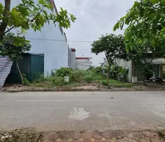 🔥 234m2 KĐG 31ha Trâu Quỳ Gia Lâm MT 12m đường 15m giá 3x tỷ 📞 0989894845
