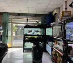 Bán nhà đường số 9, Phường Linh Xuân, Thủ Đức, TP HCM. DT 82m2, sổ hồng, 5.1 tỷ.