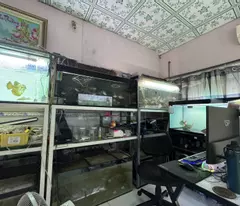Bán nhà đường số 9, Phường Linh Xuân, Thủ Đức, TP HCM. DT 82m2, sổ hồng, 5.1 tỷ.