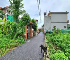 Bán đất 60m2 Thuận An, Hà Nội, mt 4m ngõ rộng gần trục chính 📞 0989894845