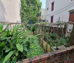 58m2 Thuận An Gia Lâm mt 4m ngõ rộng gần trục chính chỉ 3 tỷ 📞 0989894845