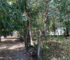CHÍNH CHỦ BÁN ĐẤT 554m² – LONG NGUYÊN (HỒ CHÍ MINH MỚI) – GIÁ TỐT