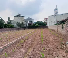 BÁN ĐẤT ĐỨC NHUẬN – KHOÁI CHÂU
GIÁ CHỈ NHỈNH 2 TỶ