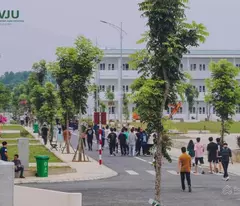 Bán đất Bình Yên Hoà Lạc gần Đại Học Quốc Gia Hà Nội vốn 2,5 tỷ LH : 033.999.8988