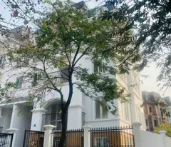 CHÍNH CHỦ CHO THUÊ NHÀ NGYÊN CĂN TẠI KHU LIDECO - HOÀI ĐỨC - HÀ NỘI