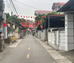 HÀNG HIẾM TRỤC CHÍNH – LÔ HOA HẬU THANH LÂM, MÊ LINH, HÀ NỘI