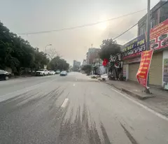 HÀNG HIẾM TRỤC CHÍNH – LÔ HOA HẬU THANH LÂM, MÊ LINH, HÀ NỘI