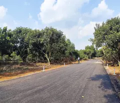 NGAY KCN SUỐI TRE - LONG KHÁNH.ĐN. CHỈ 150TR/M MẶT TIỀN ĐƯỜNG NHỰA 7M! THÍCH HỢP XÂY TRỌ, ĐẦU TƯ