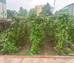 ĐẮC SỞ 45M Ô TÔ VÀO ĐẤT - SÁT VÀNH ĐAI 4.
