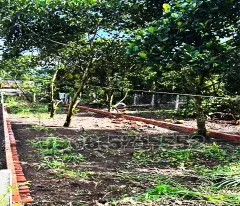210m² THỔ CƯ, NGAY CHỢ HÀM NGHI – TP LONG KHÁNH – ĐN. CƠ HỘI X2,3 TÀI SẢN.