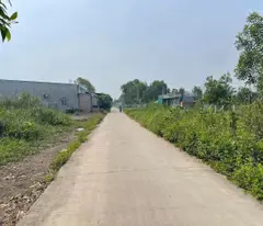 Bán Gấp 16.500m2 HXH Trần Văn Giàu Bình Chánh 175m x 95m Chỉ 59 Tỷ