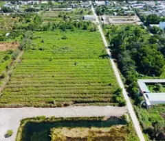Bán Gấp 16.500m2 HXH Trần Văn Giàu Bình Chánh 175m x 95m Chỉ 59 Tỷ