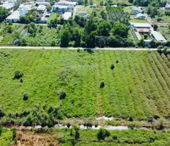 Bán Gấp 16.500m2 HXH Trần Văn Giàu Bình Chánh 175m x 95m Chỉ 59 Tỷ