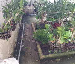 Chính chủ bán nhà Gần cao tốc Mộc Bài, Phùng Thị Liếu, Củ Chi
