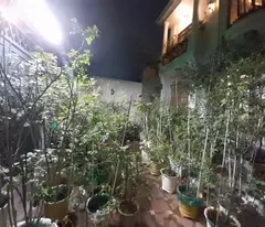 Bán Biệt thự mặt phố 240m2, 3 tầng, Hiệp Bình Chánh, Thủ Đức, HCM - Sổ hồng. Giá 15.65 tỷ.