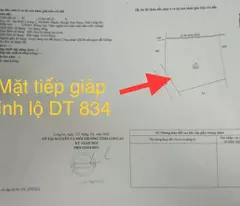 Bán đất lúa mặt tiền ĐT 834 , Bình Thạnh , Thủ Thừa dt 5200m2 giá 17 tỷ