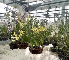 Bán nhà đường 339, Phường Phước Long B, Q9, Thủ Đức, TP HCM. DT 100m2, 4 tầng, SH. Giá 11,9 tỷ