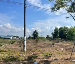 Bán 3011m2 đất ONT Mặt tiền Hùng Vương - Tân Tiến  LaGi giá rẻ 400tr/m ngang