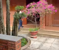Bán nhà vườn xã Trung Lập Thượng có nhà gỗ mái ngói, hồ cá , thủy tạ.........tdt 3000m2 giá 9,5 tỷ