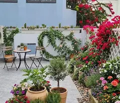 Nhà mới Trần Quang Diệu - QUẬN 3 - 6 x 8.6m (52 m2) - 8.2 tỷ