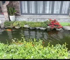 Cho thuê nhà 3 phòng Yersin, phường 9, Đà Lạt 65 triệu/tháng