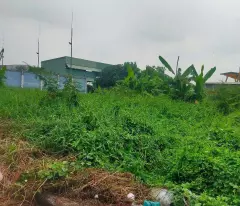 SIÊU PHẨM 3MT NGUYỄN VĂN BỨA – 2.617M² – ĐƯỜNG CONTAINER – GIÁ CHỈ 33 TỶ