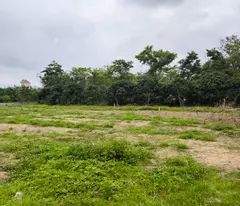 Bán 3.899m đất đô thị ở phường Phượng Sơn Bắc Ninh
Đất có sổ đỏ ,,phù hợp với XD kho cảng sông