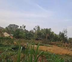 CƠ HỘI HIẾM ĐẤT FULL THỔ CƯ 2 MẶT TIỀN CỦ CHI