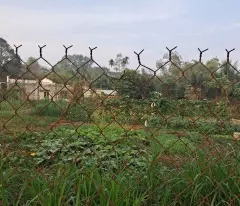 CƠ HỘI HIẾM ĐẤT FULL THỔ CƯ 2 MẶT TIỀN CỦ CHI