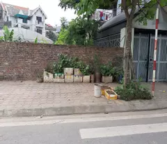 Bán đất đấu giá xã Thuận An, Hà Nội. Lô góc 115m2 đường 12m vỉa hè. Lh 0989894845