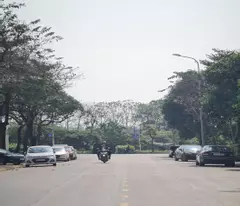 Bán đất đấu giá xã Thuận An, Hà Nội. Lô góc 115m2 đường 12m vỉa hè. Lh 0989894845