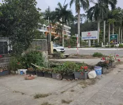 Chính chủ Bán nhà mặt tiền Lý Thái Tổ Đồ Sơn – gần biển Đồi Rồng – 65m2 –  3.3 tỷ – kinh doanh tốt