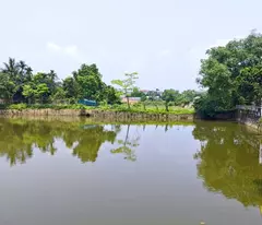Sốc lô đất 101m2 Phú Cát view Hồ, khu vực trung tâm Hòa Lạc. Phù hợp xây trọ, đầu tư sinh lời, kết