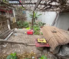 ĐỨC GIANG – ĐẤT LÔ GÓC – Ô TÔ TRÁNH – NỞ HẬU – 43M²