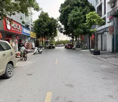 Cần bán 55,1m2 đất mặt phố Giang Biên. Phù hợp xây Văn Phòng Kinh Doanh