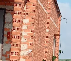 Bán gấp vườn sầu riêng 16 000m² 250 cây gần 1 năm tuổi cẩm mỹ đồng nai