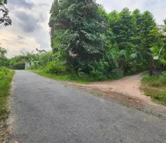 Cho thuê đất rộng 26.000m² tại xã Trung Lập Thượng, huyện Củ Chi