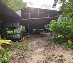 Cho thuê đất rộng 26.000m² tại xã Trung Lập Thượng, huyện Củ Chi