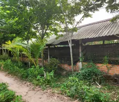 Cho thuê đất rộng 26.000m² tại xã Trung Lập Thượng, huyện Củ Chi